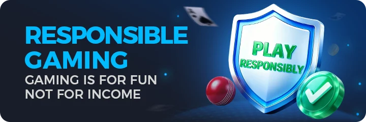 Responsible gaming — gaming is for fun, not for income